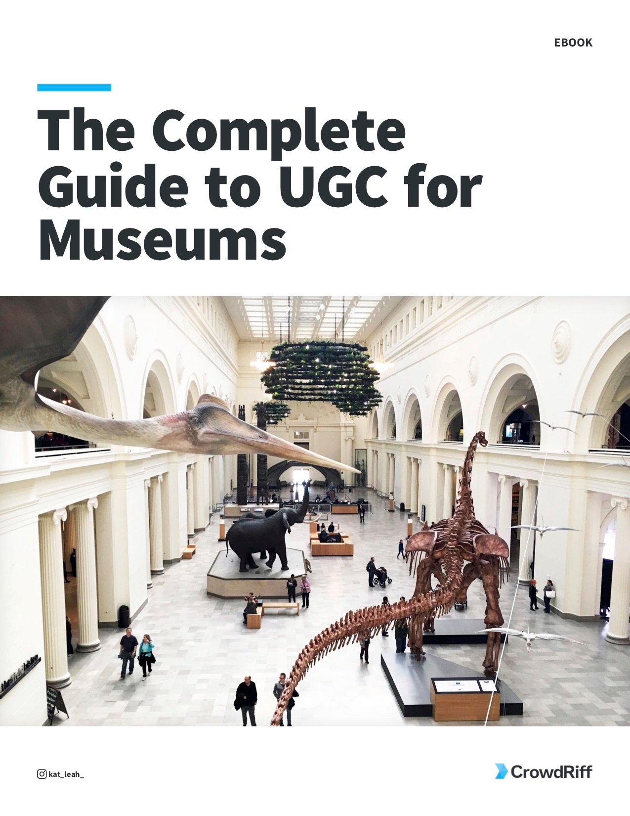 The Complete Guide to UGC for Museums